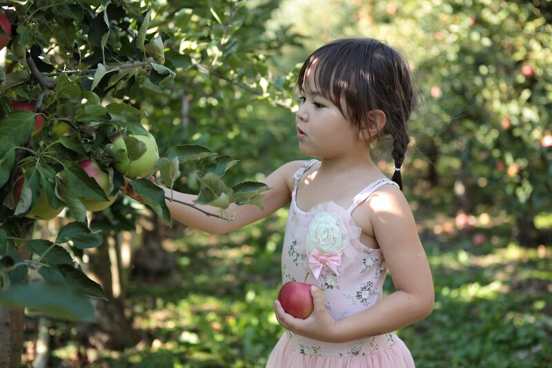 Girl Picking Apples — Pink
