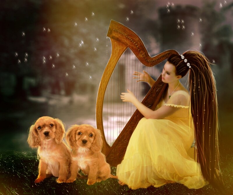 Girl Playing Harp with Puppies