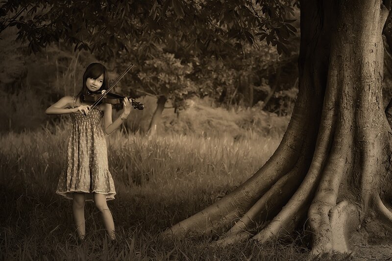 Girl Playing Violin — Brown, Serene