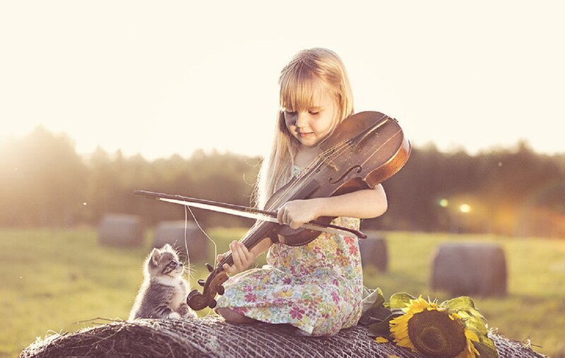 Girl Playing Violin — Yellow, Serene
