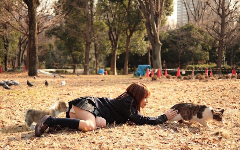Girl playing with animals in park