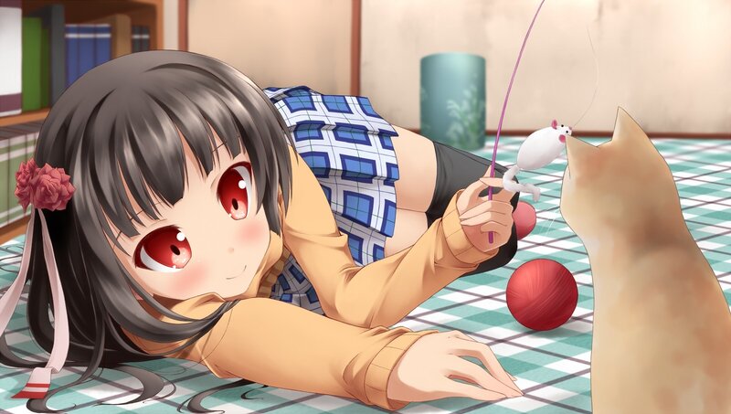 girl playing with cat