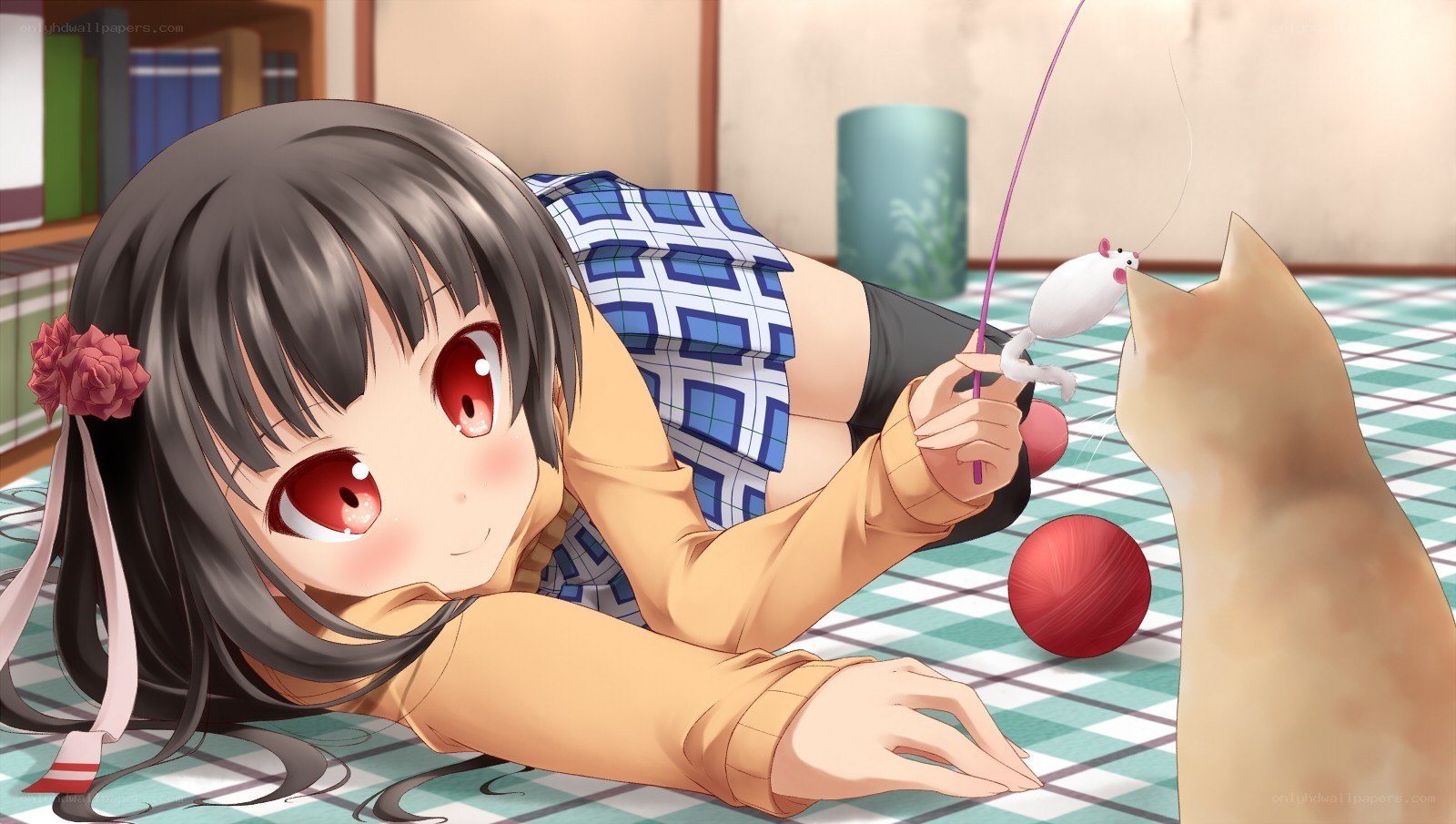 girl playing with cat