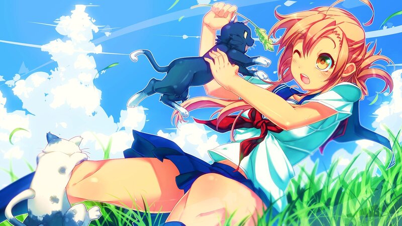Girl playing with cats in a field