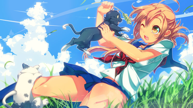 Girl playing with cats in a field