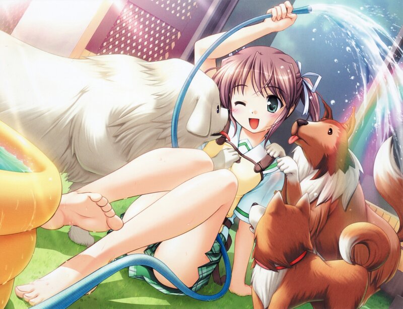 Girl playing with dogs in garden