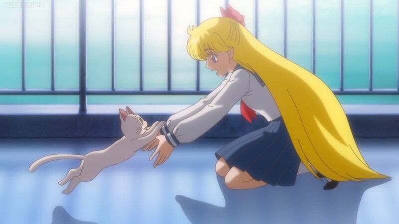 Girl Reaching for Cat