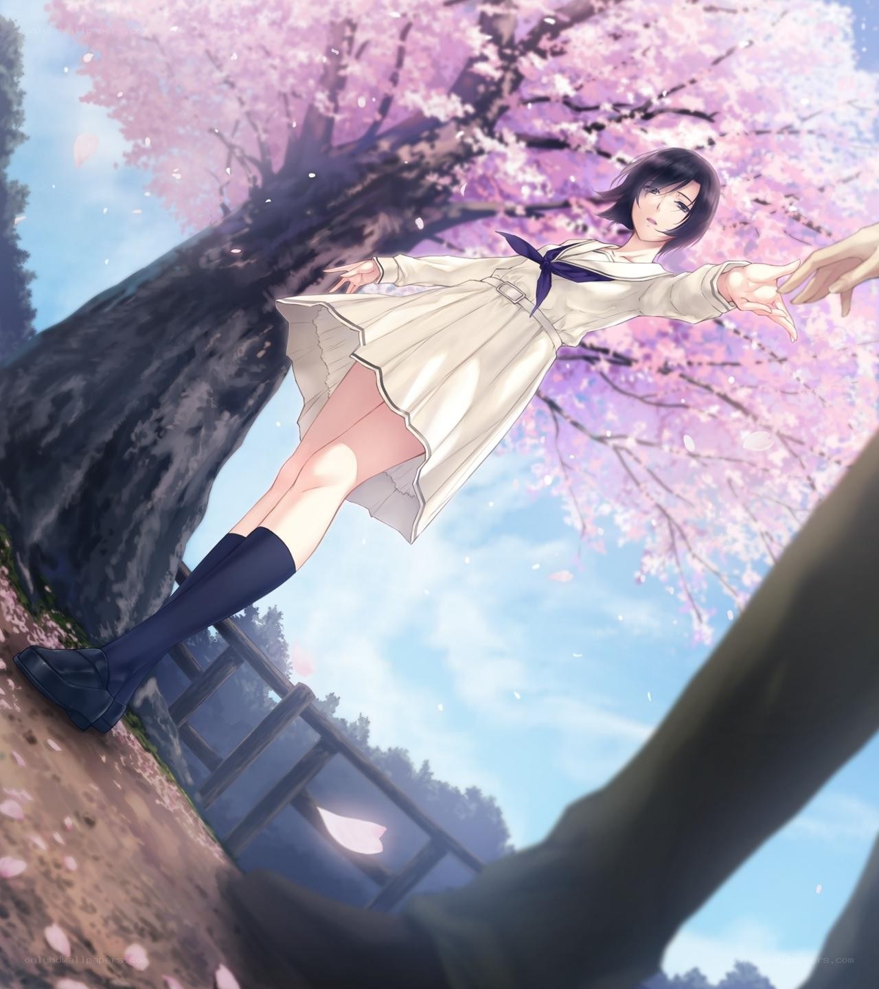 girl reaching for hand under cherry blossoms