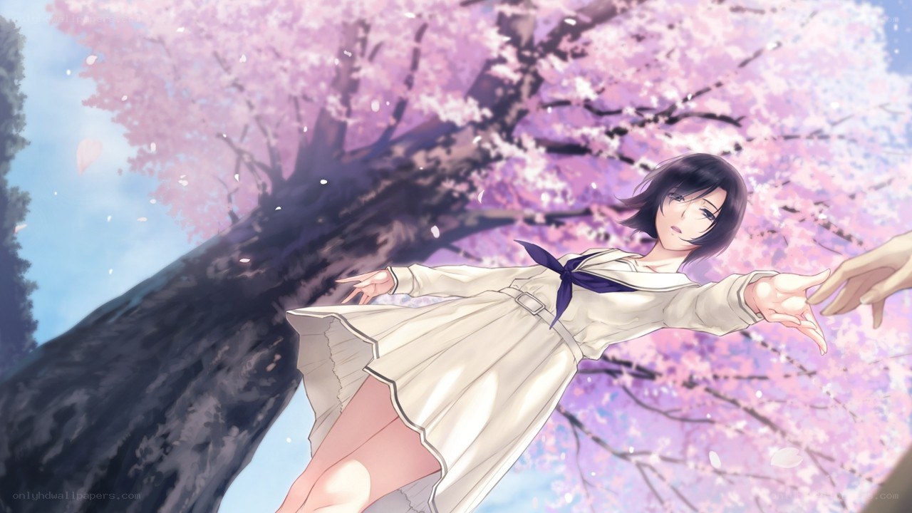 girl reaching under cherry blossoms