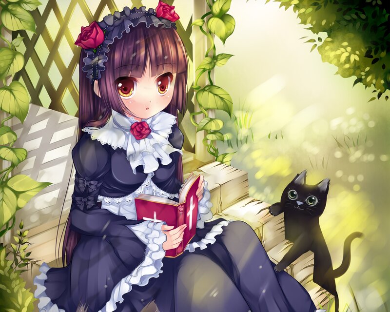 Girl Reading Book with Cat