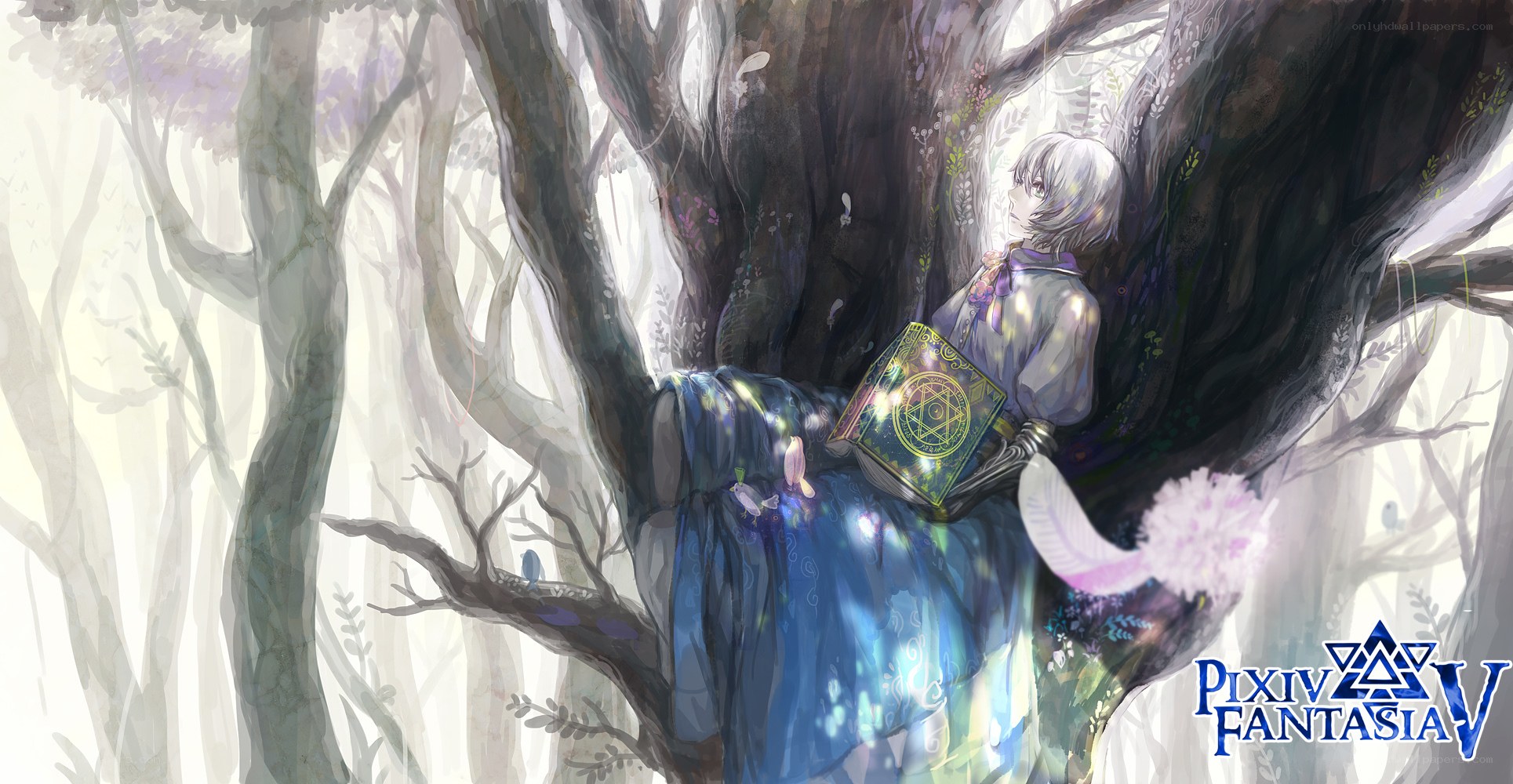 girl reading in a tree