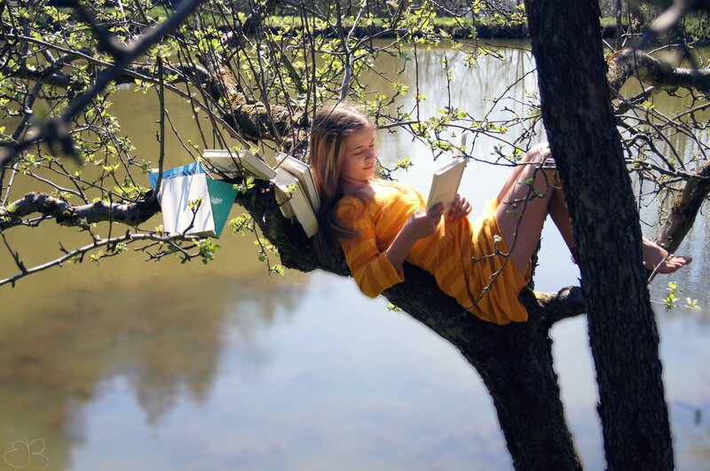 Girl reading in a tree by the water
