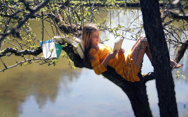 Girl reading in a tree by the water