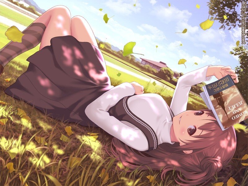 Girl reading in autumn field