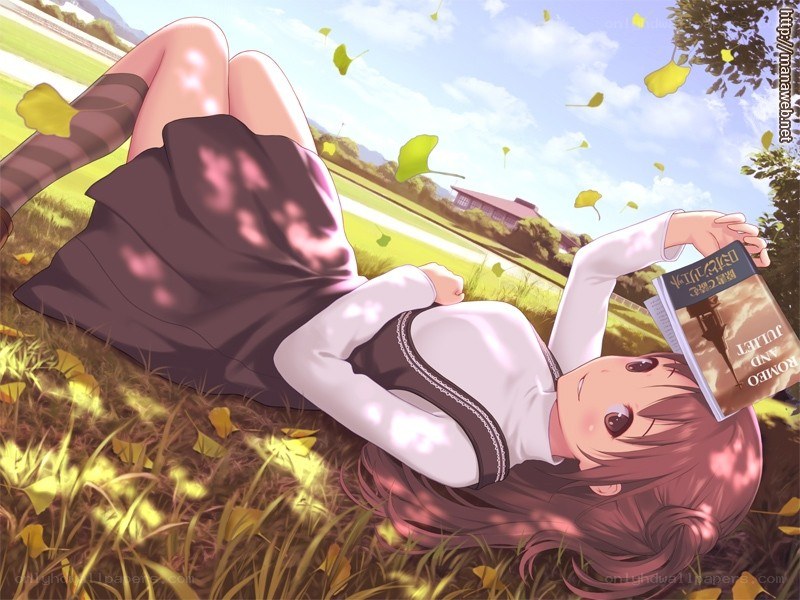 Girl reading in autumn field