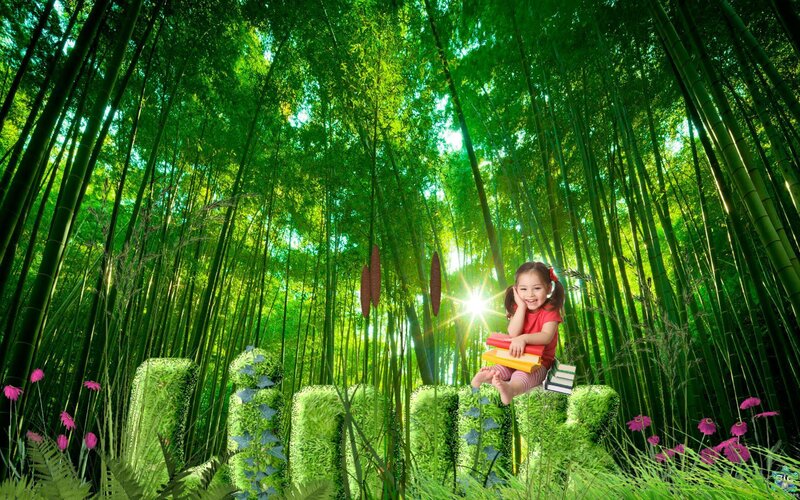 Girl Reading in Bamboo Forest