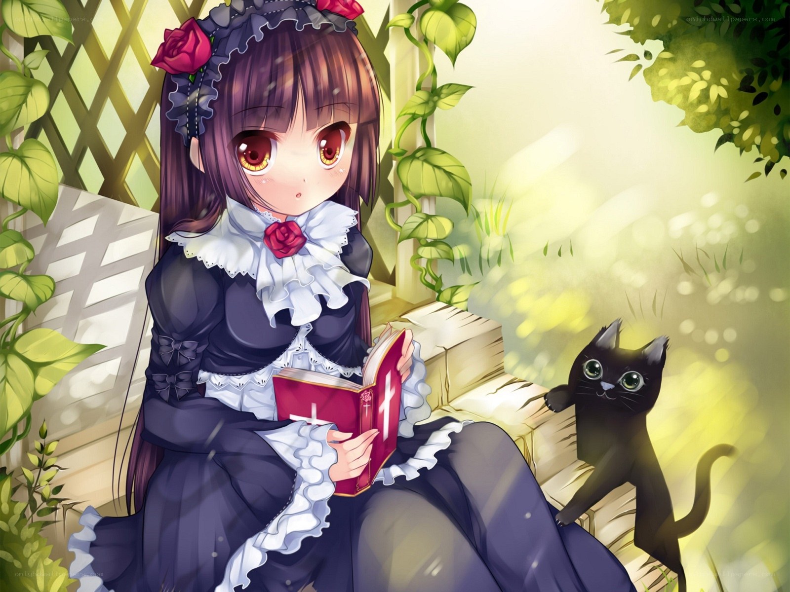Girl reading with a black cat