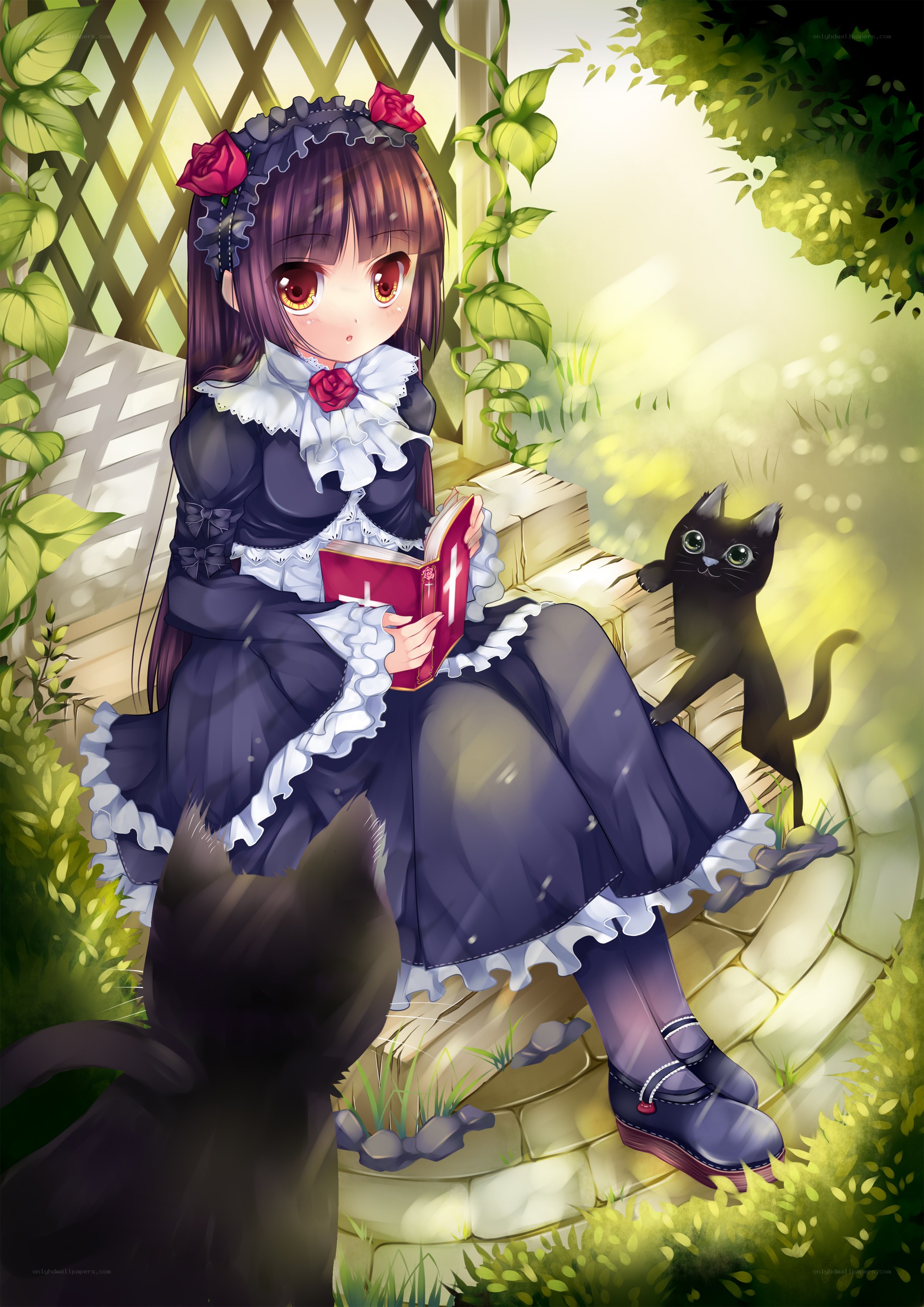 girl reading with black cats
