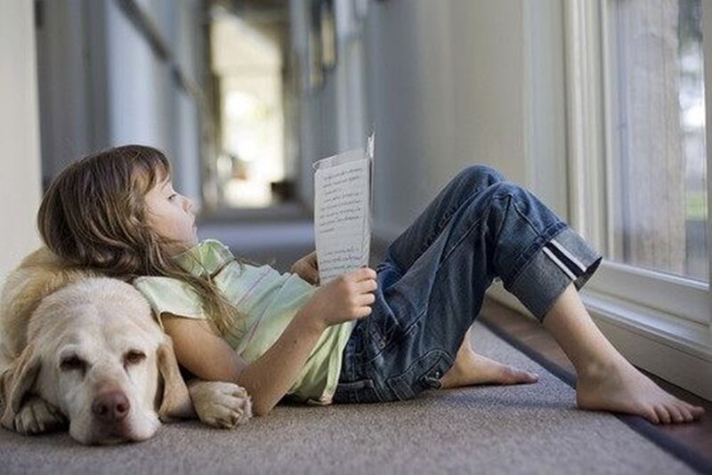 Girl Reading with Dog — Beige