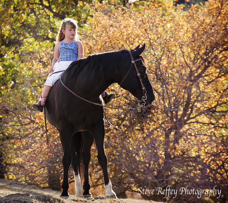 Girl Riding a Horse — Black