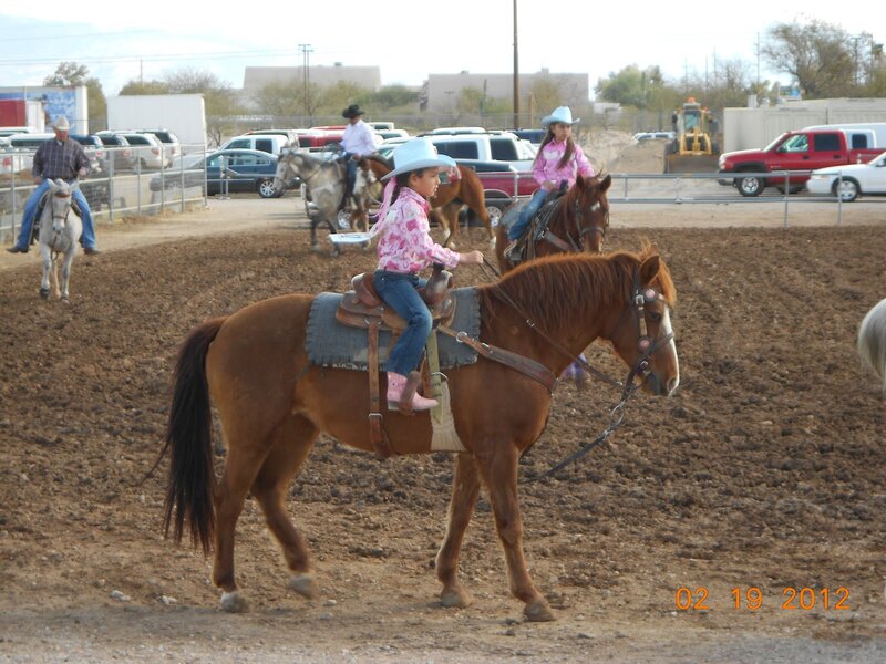 Girl Riding a Horse — Brown, Active