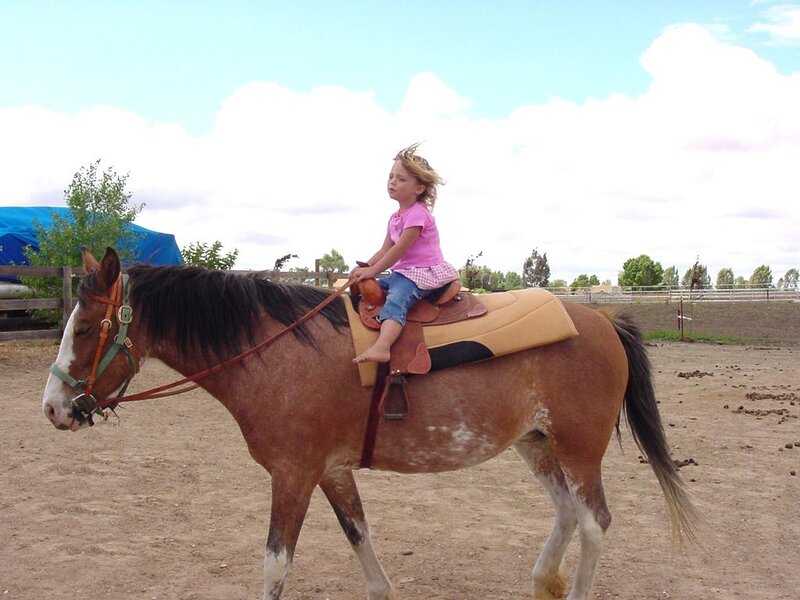 Girl Riding a Horse — Brown, Calm