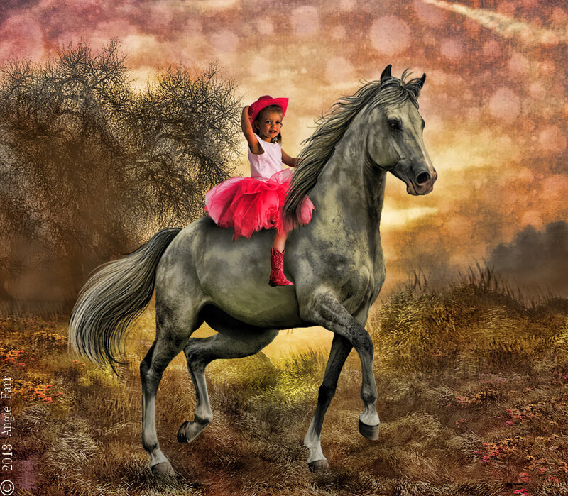 Girl Riding a Horse — Gray