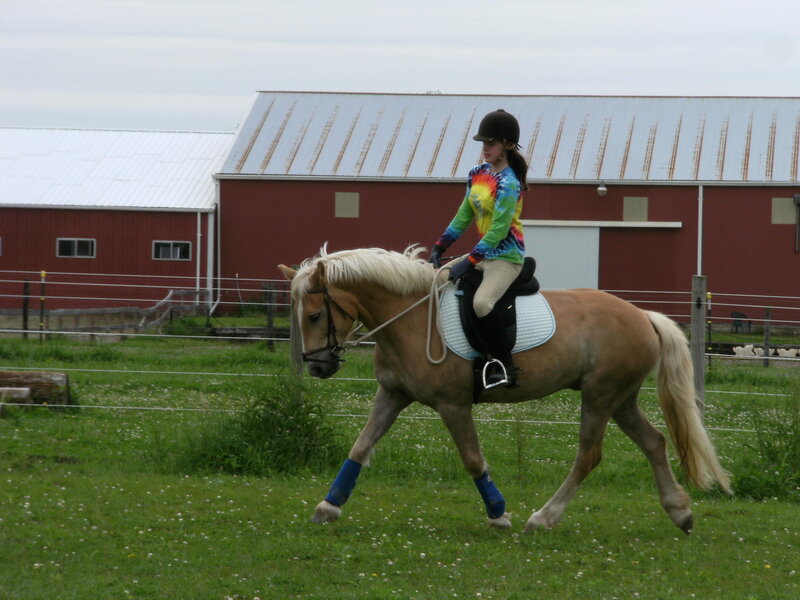 girl riding a horse in a field