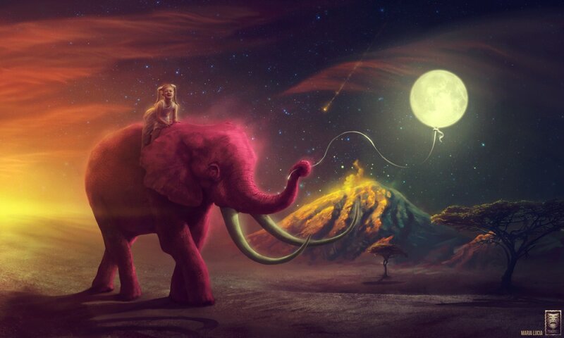 girl riding elephant at night