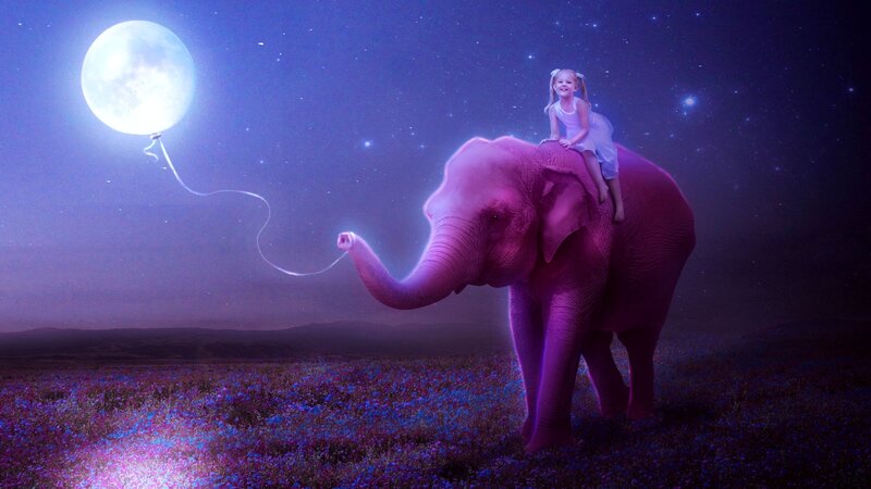 Girl Riding Elephant