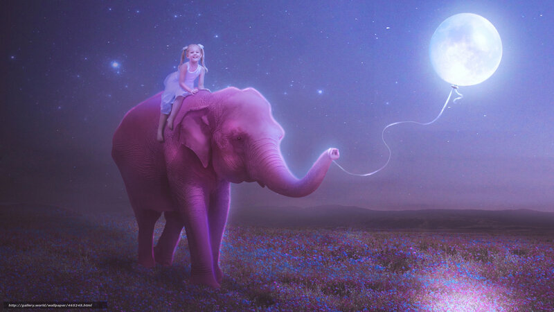 Girl riding elephant under moon