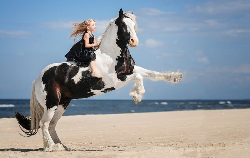 Girl Riding Horse — Blue