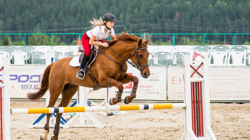 Girl Riding Horse — Brown
