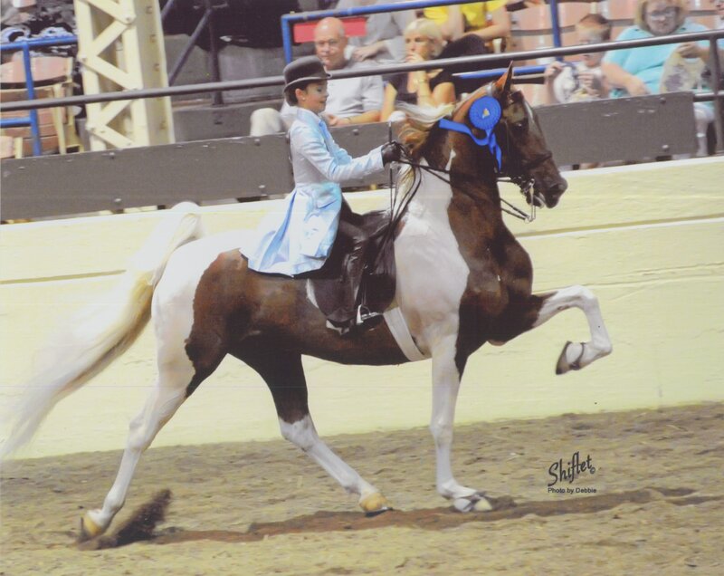 Girl Riding Horse