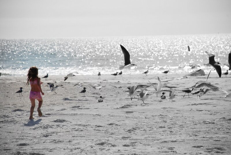 Girl running on beach with seagulls