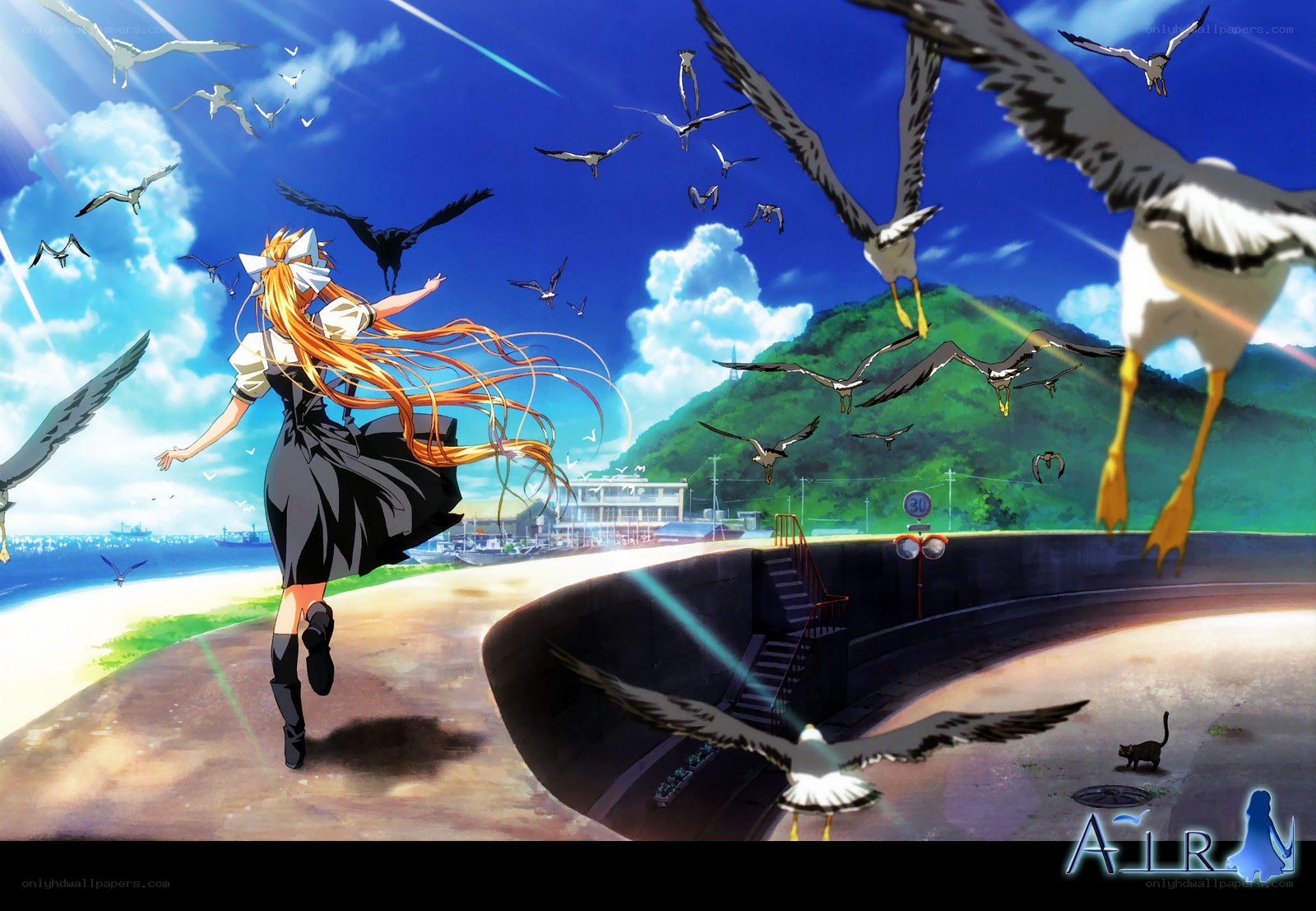 Girl running with seagulls