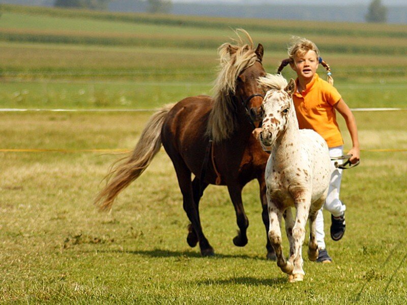 girl running with two horses