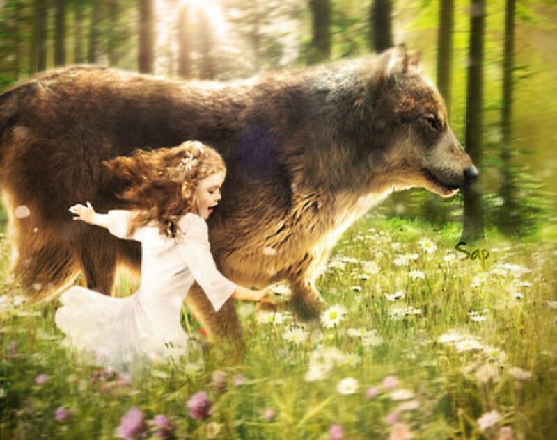 Girl Running with Wolf