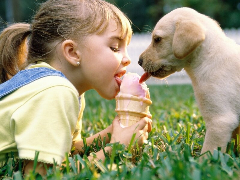 girl sharing ice cream with puppy