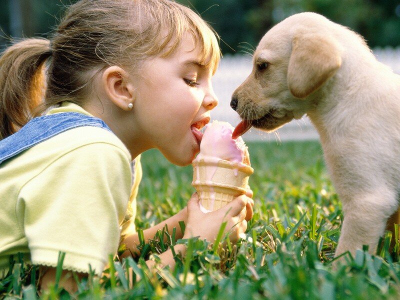 girl sharing ice cream with puppy