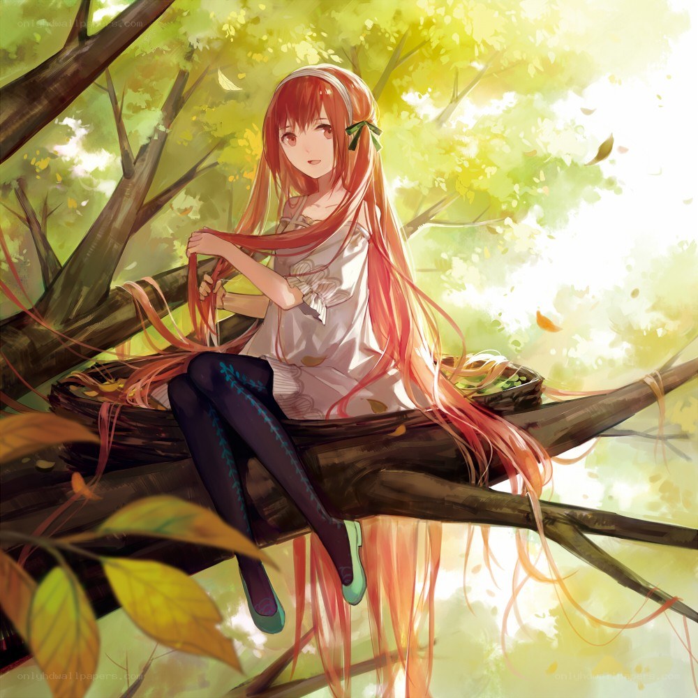 Girl sitting in a tree