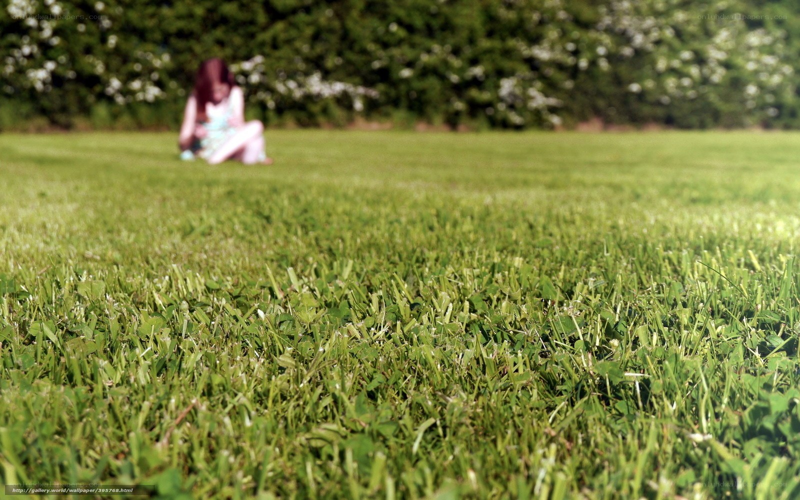 Girl sitting on grass