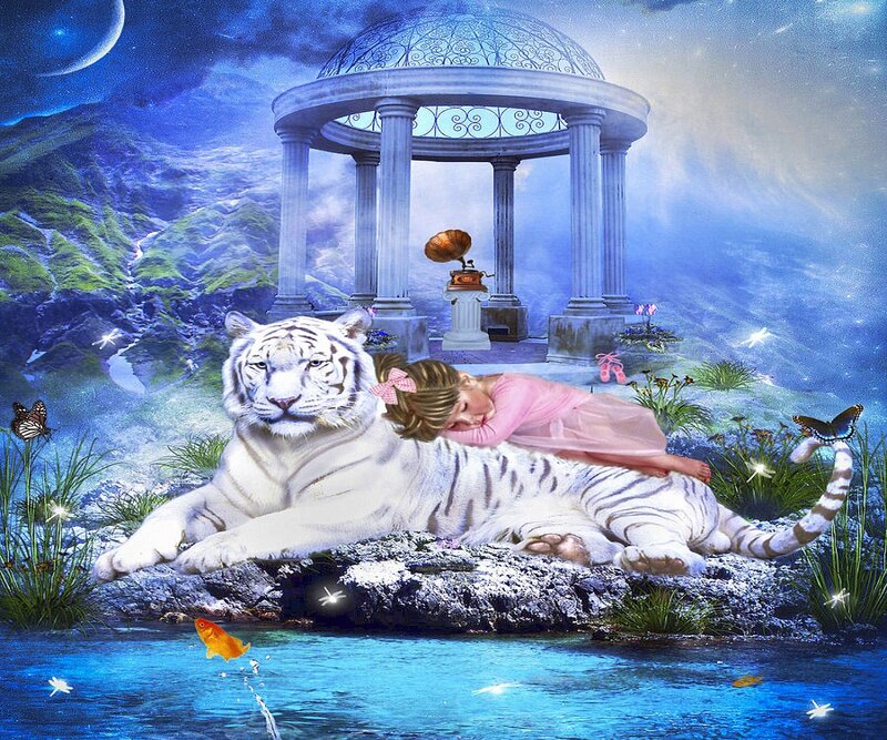 Girl Sleeping on White Tiger