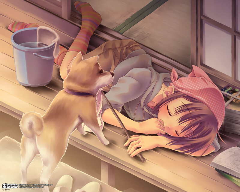 Girl sleeping with dog on porch