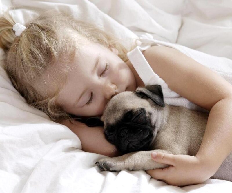 Girl Sleeping with Pug — White, Peaceful