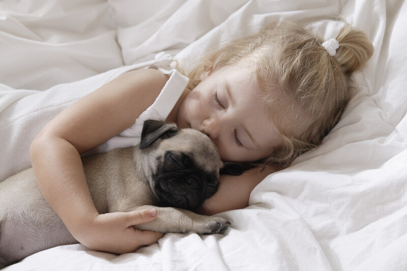 Girl Sleeping with Pug — White