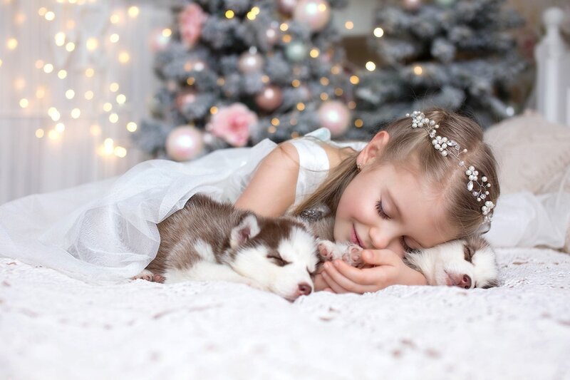 Girl Sleeping with Puppies