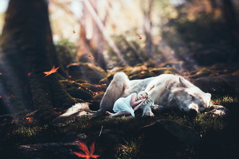 Girl Sleeping with Wolf