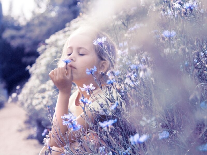 Girl Smelling Flowers — Blue, Serene