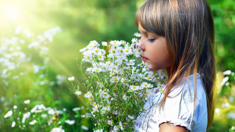 Girl Smelling Flowers — White, Serene, Afternoon, Photograph, Sunlight